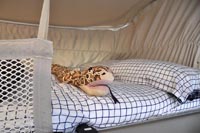 Najem avtodoma Benimar Amphitryon 997